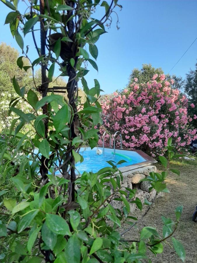 Mini Villa Giuseppina Bonifacio  Buitenkant foto